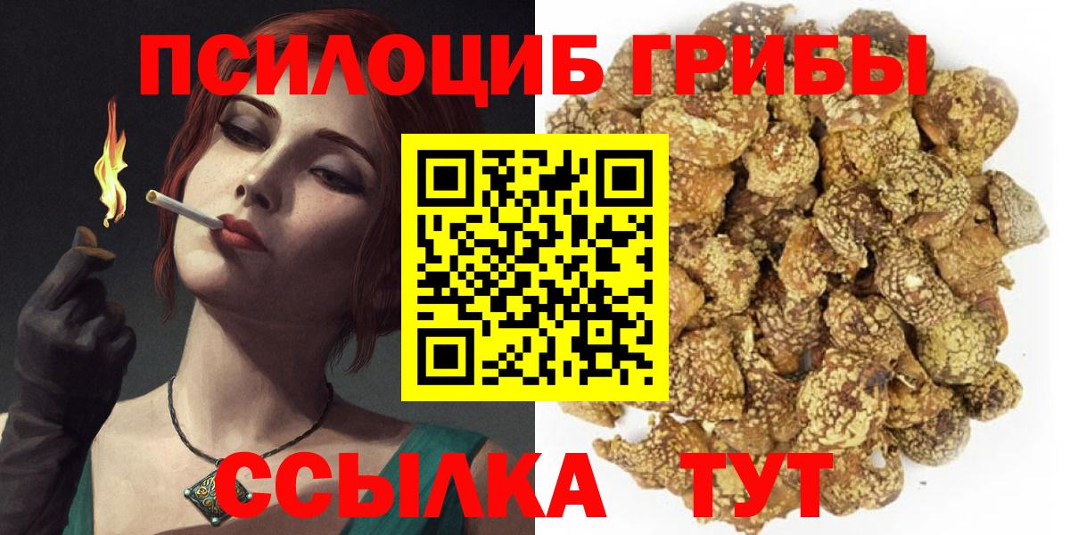 Псилоцибиновые грибы Psilocybe  Галлюциногенные грибы GOLDEN TEACHER  Вход с VPN  Тамбов 